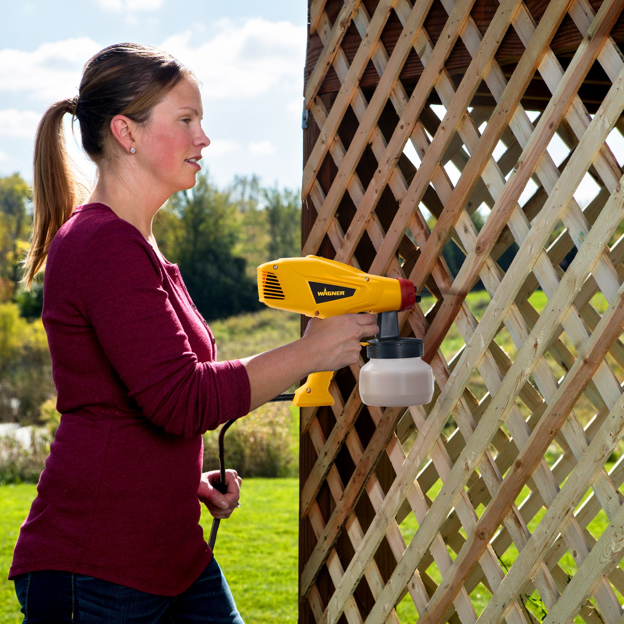 Control Spray Lite Duty Image:7