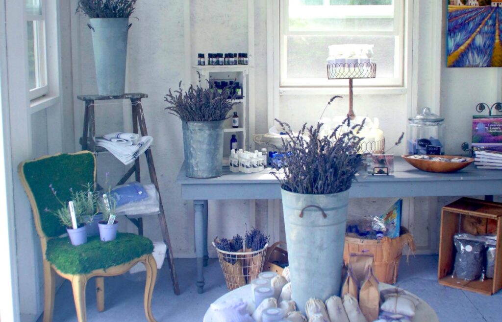 Shed to retail space feature image.jpg