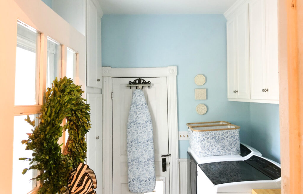 Wagner SMARTRoller feature.jpg